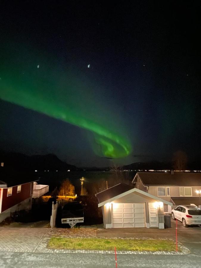 Liten Kjellerleilighet. Landlig Rolig Omrade. Tromsø